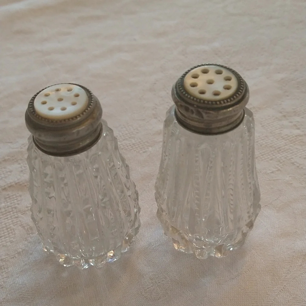 Vintage mother of Pearl silver salt pepper shakers cottagecore shabby chic